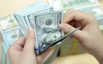 Đầu tuần, tỷ giá USD đứng yên