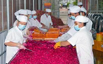 Đa dạng hóa sản phẩm chế biến từ thanh long