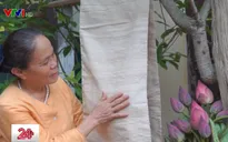 Gặp gỡ nghệ nhân người Việt dệt lụa từ tơ sen