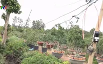 Nguy cơ giăng mắc điện thiếu an toàn mùa mưa lũ
