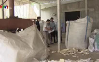 Gian lận trong nhập khẩu phế liệu
