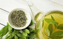 Tinh chất quý từ trà xanh hữu ích với bệnh nhân tiểu đường