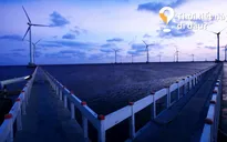 "Thời tiết này đi đâu?": Bạc Liêu – "Sống ảo" ở cánh đồng điện gió