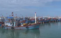 Huy động nguồn lực xây dựng 5 trung tâm nghề cá lớn trên cả nước
