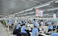 Đà Nẵng có 7 doanh nghiệp đạt danh hiệu "Doanh nghiệp xuất khẩu uy tín"