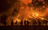 Bang California, Mỹ ban bố tình trạng khẩn cấp do cháy rừng