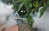 Hà Nội: Phun hóa chất diệt muỗi phòng bệnh vùng ngập úng