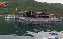 Phú Yên: Kéo dài tình trạng bè du lịch hoạt động trái phép trên Vịnh Vũng Rô