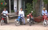 Cầu Cao Lãnh hoàn thành, hơn 300 hộ dân bị ảnh hưởng kế mưu sinh