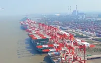 Mỹ thu hơn 1,4 tỷ USD từ hàng rào thuế quan thép và nhôm