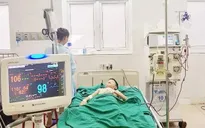 Hơn 100 con ong tấn công khiến bé 11 tuổi bị suy đa tạng