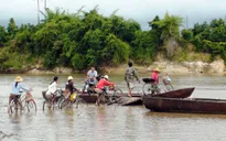 Mất an toàn đường thủy tại các bến đò ngang ở Quảng Trị