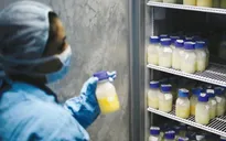 TP.HCM: Sẽ có ngân hàng sữa mẹ đạt chuẩn quốc tế