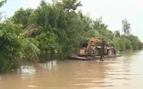 Cần Thơ khẩn trương bảo vệ lúa Thu Đông