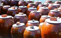 Thưởng thức đặc sản nước mắm rươi Trà Vinh