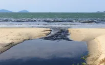 Tiêu điểm: Đà Nẵng: Ô nhiễm môi trường từ nước thải