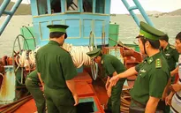 Xử lý nhiều tàu vận chuyển dầu trái phép tại vùng biển Côn Đảo