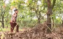 Những thủ đoạn cắt xén tiền hỗ trợ mất mùa ở Đồng Nai