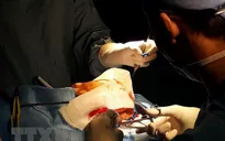 Bác sĩ tham gia phẫu thuật và hiến máu cứu bệnh nhân tại Đồng Nai