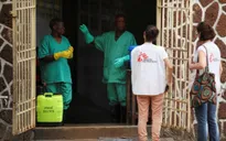 Congo phát hiện ổ dịch Ebola mới