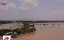 Lũ về sớm, người dân An Giang không kịp trở tay