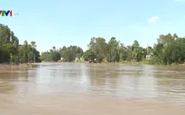 Lũ lên nhanh tại Đồng bằng sông Cửu Long