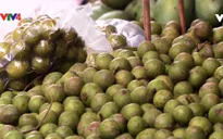 Quả sấu - Món ngon khó quên của người Hà Nội