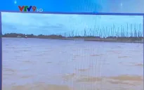 An Giang chủ động phòng chống thiên tai