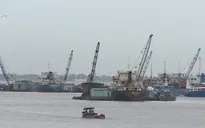 Khảo sát vùng lũ Long An