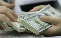 Tỷ giá USD giảm mạnh