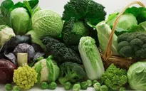Rau chứa protein AhR giúp ngừa ung thư đại tràng