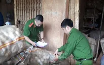 Phát hiện cơ sở “hô biến” khoai tây Trung Quốc thành khoai tây Đà Lạt
