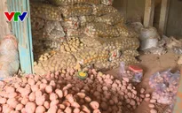 Vụ "phù phép" khoai tây Trung Quốc: Khoai sau khi nhuộm đỏ tăng giá gấp 2,3 lần