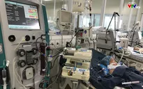 3 trẻ nhập viện nguy kịch do bị ong đốt