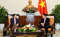 Phó Thủ tướng Phạm Bình Minh tiếp Thứ trưởng Bộ Ngoại giao Lào