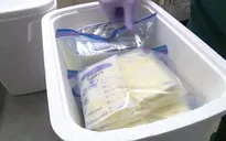 Ngân hàng hỗ trợ các bà mẹ gửi sữa về nhà cho con