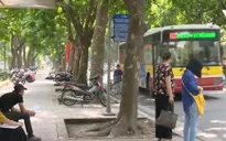 Hà Nội dự định đấu thầu 65 tuyến xe bus: Nhiều ý kiến lo ngại