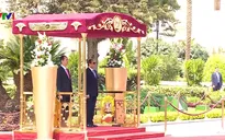 Chủ tịch nước thăm cấp Nhà nước Ai Cập