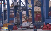 TP.HCM chính thức vận hành hải quan tự động