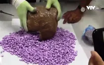 TP.HCM: Gần 6kg ma túy tổng hợp bị thu giữ
