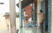 Khảo sát bờ kè chống sạt lở sông Ô Môn, Cần Thơ