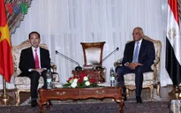 Việt Nam luôn coi trọng việc duy trì quan hệ hữu nghị truyền thống với Ai Cập