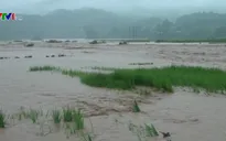 Mưa lũ gây thiệt hại lớn tại Điện Biên