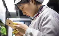 Foxconn đã bắt đầu lắp ráp iPhone OLED 2018 từ tháng trước