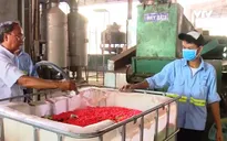 Tiêu hủy 1,8 tấn thuốc ho và thực phẩm chức năng bẩn của công ty Hotel Students