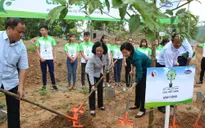 Phát huy đạo lý "Uống nước nhớ nguồn" - Vinamilk trồng 100.000 cây xanh tại Bắc Kạn
