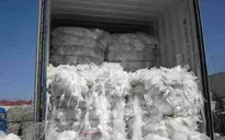 Kiểm tra thủ tục hải quan đối với phế liệu nhập khẩu