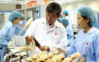 Một học sinh được chi trả 1,8 tỷ đồng bảo hiểm y tế