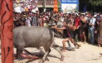 Thừa Thiên Huế: Trả lại số tiền người dân đã đóng góp cho Lễ hội đâm trâu
