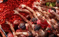Hàng chục nghìn người tham gia lễ hội ném cà chua ở Tây Ban Nha
